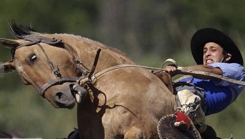 100 Fotoğrafla 2010 yılı