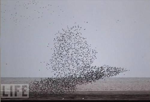 100 Fotoğrafla 2010 yılı