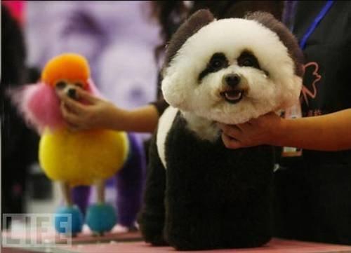 100 Fotoğrafla 2010 yılı