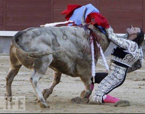 100 Fotoğrafla 2010 yılı