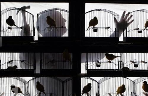 100 Fotoğrafla 2010 yılı