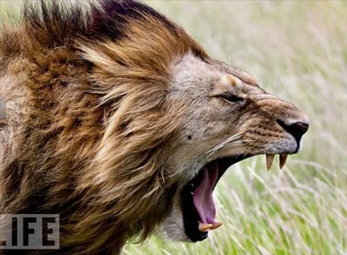 100 Fotoğrafla 2010 yılı