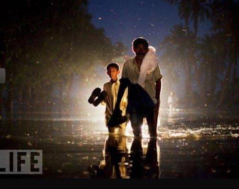 100 Fotoğrafla 2010 yılı