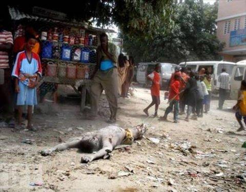 100 Fotoğrafla 2010 yılı