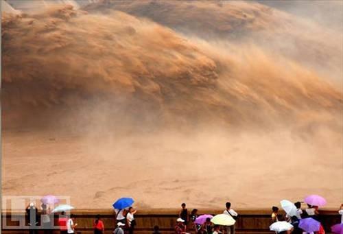 100 Fotoğrafla 2010 yılı