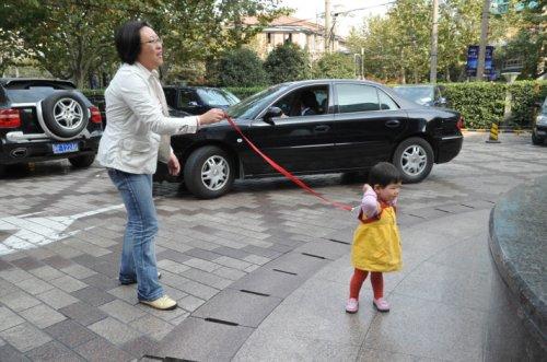 2010 yılına imza atan AA fotoğrafları - Resim 41