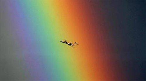 100 Fotoğrafla 2010 yılı