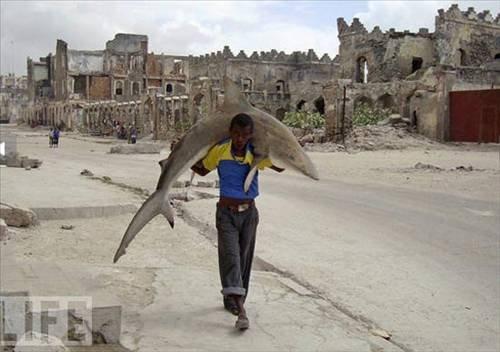 100 Fotoğrafla 2010 yılı