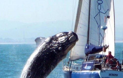 100 Fotoğrafla 2010 yılı