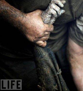 100 Fotoğrafla 2010 yılı