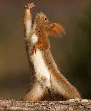 100 Fotoğrafla 2010 yılı