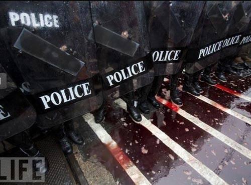 100 Fotoğrafla 2010 yılı