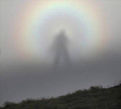 100 Fotoğrafla 2010 yılı