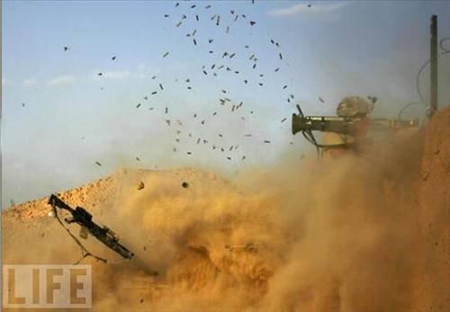 100 Fotoğrafla 2010 yılı