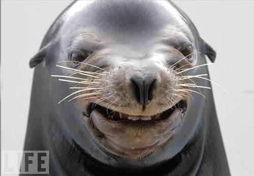 100 Fotoğrafla 2010 yılı