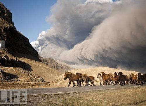 100 Fotoğrafla 2010 yılı