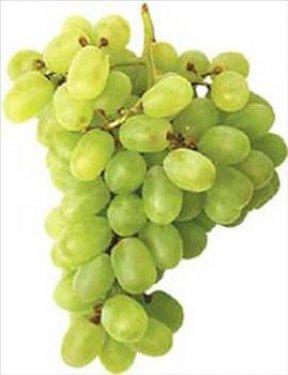 Sıkılınca bunları yapın - Resim 61
