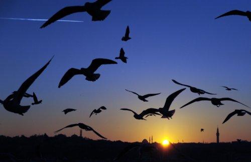 İstanbul'da günbatımı ve gece - Resim 45