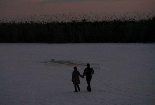 Sığırcık kuşlarının şükür duası