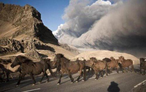 2012'de yaşanabilecek 10 felaket