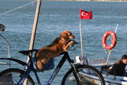 Türkiye'nin gizli cennetleri