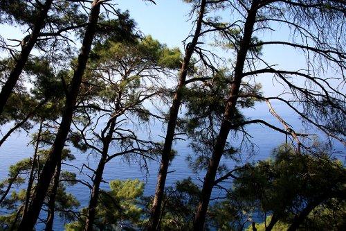 Türkiye'nin gizli cennetleri