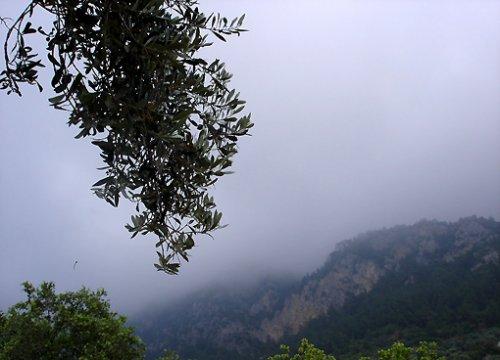 Türkiye'nin gizli cennetleri