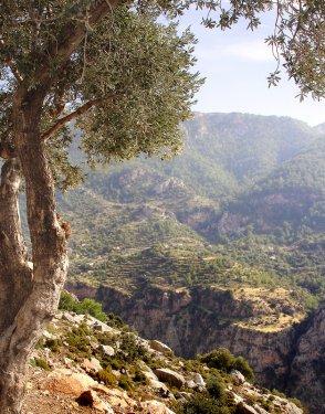 Türkiye'nin gizli cennetleri