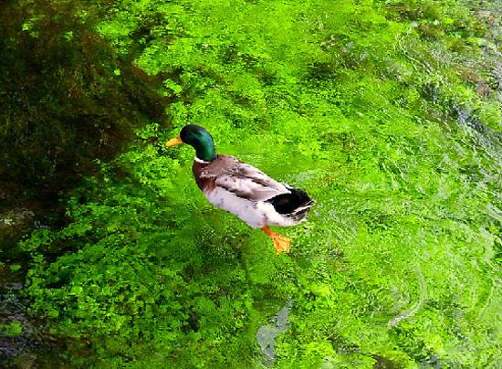 Türkiye'nin gizli cennetleri