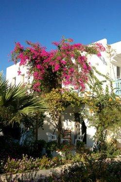 Türkiye'nin gizli cennetleri