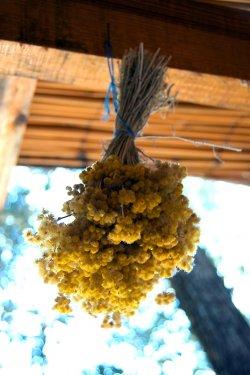 Türkiye'nin gizli cennetleri