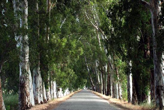 Türkiye'nin gizli cennetleri