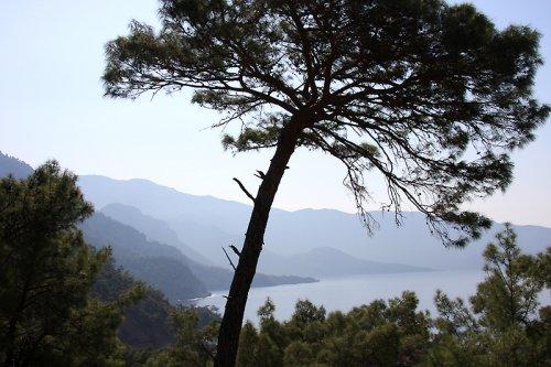 Türkiye'nin gizli cennetleri