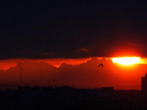 Güneş tutulmasından manzaralar - Resim 10