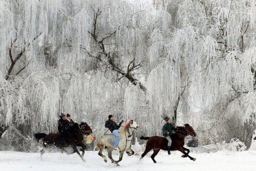 Günün Fotoğrafları 6 Ocak 2011 - Resim 21