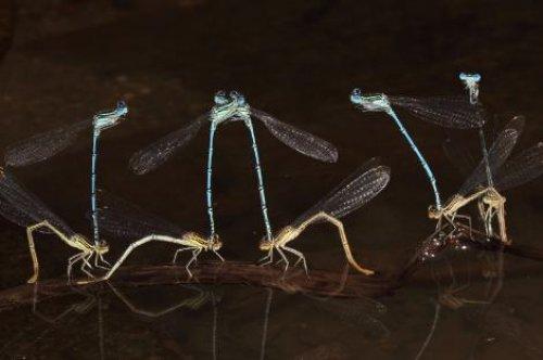 National Geographic'in yarışması sonuçlandı  