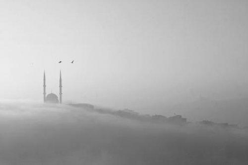 National Geographic'in yarışması sonuçlandı  