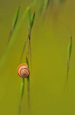 National Geographic'in yarışması sonuçlandı  