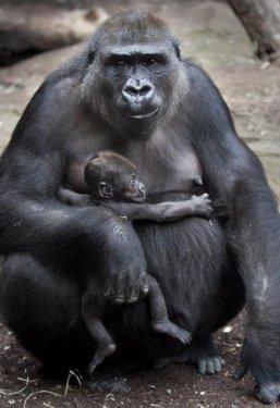 Günün Fotoğrafları 6 Ocak 2011 - Resim 18