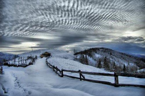 National Geographic'in yarışması sonuçlandı  