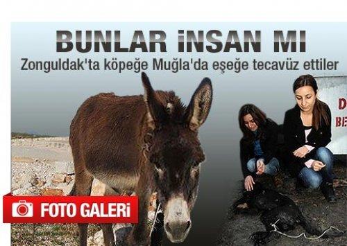 Gündemde öne çıkan gelişmeler 7 Ocak 2011