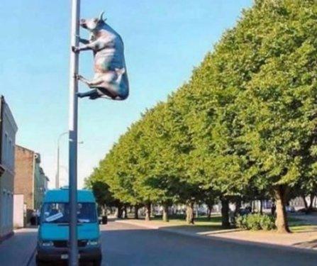 Çok riskli hareketler bunlar - Resim 64