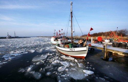 11 Ocak 2011 - Günün fotoğrafları - Resim 22