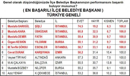 Türkiye yerel yönetimler araştırması - Resim 9