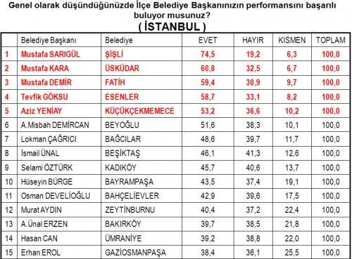 Türkiye yerel yönetimler araştırması - Resim 5