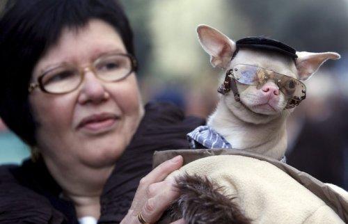 17 Ocak Pazartesi-Günün Fotoğrafları - Resim 40