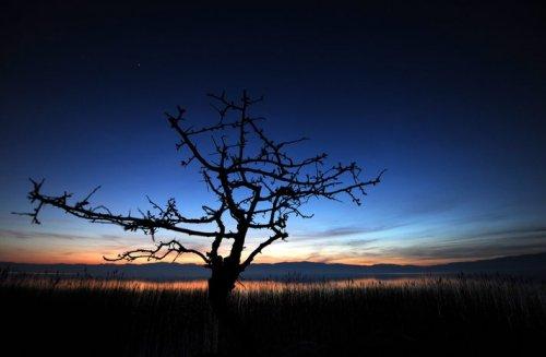 20 Ocak Perşembe-Günün Fotoğrafları - Resim 12