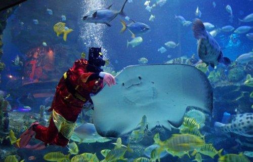 24 Ocak Pazartesi-Günün Fotoğrafları