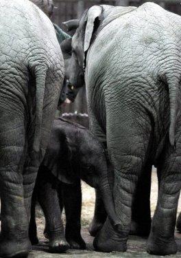 24 Ocak Pazartesi-Günün Fotoğrafları