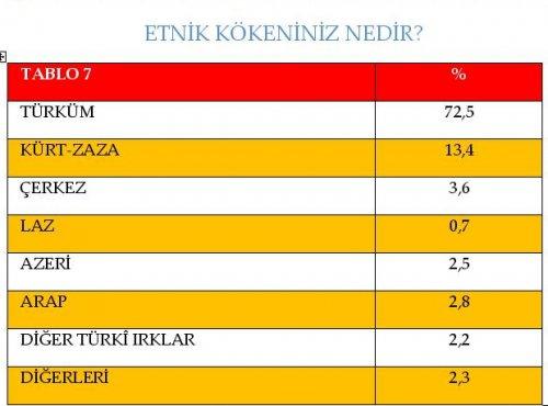 AKAM'ın etnik kimliklerin siyasi tercihleri araştırması